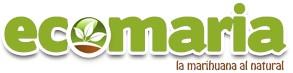 Logotipo de Palverde